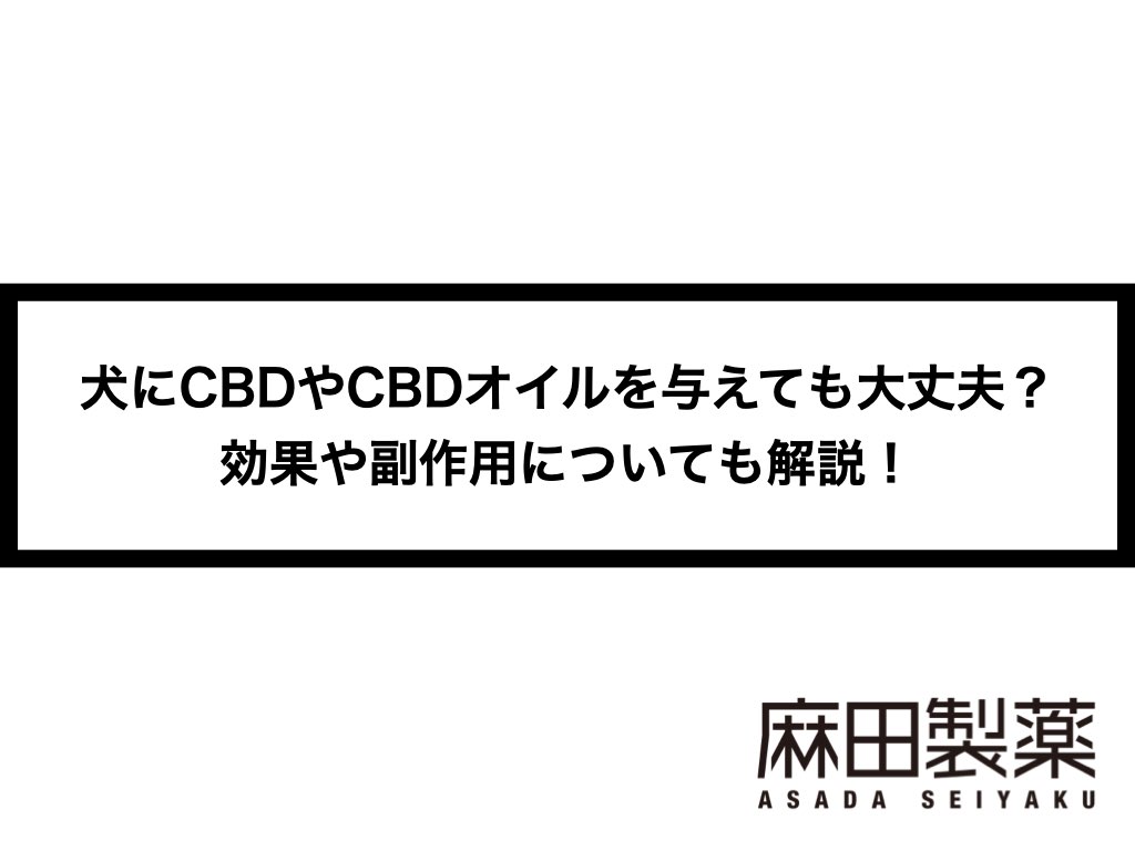 犬にcbdやcbdオイルを与えても大丈夫 効果や副作用についても解説 The Cbdの株式会社麻田製薬 Asada Pharma Inc