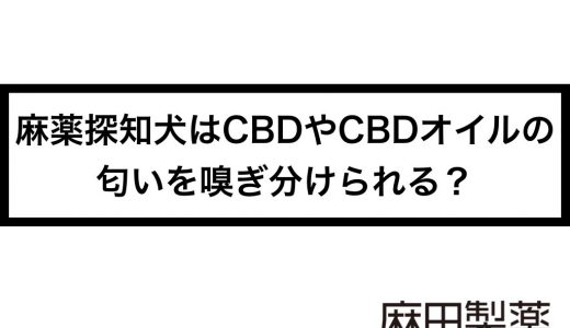 麻薬探知犬はCBDやCBDオイルの匂いを嗅ぎ分けられる？